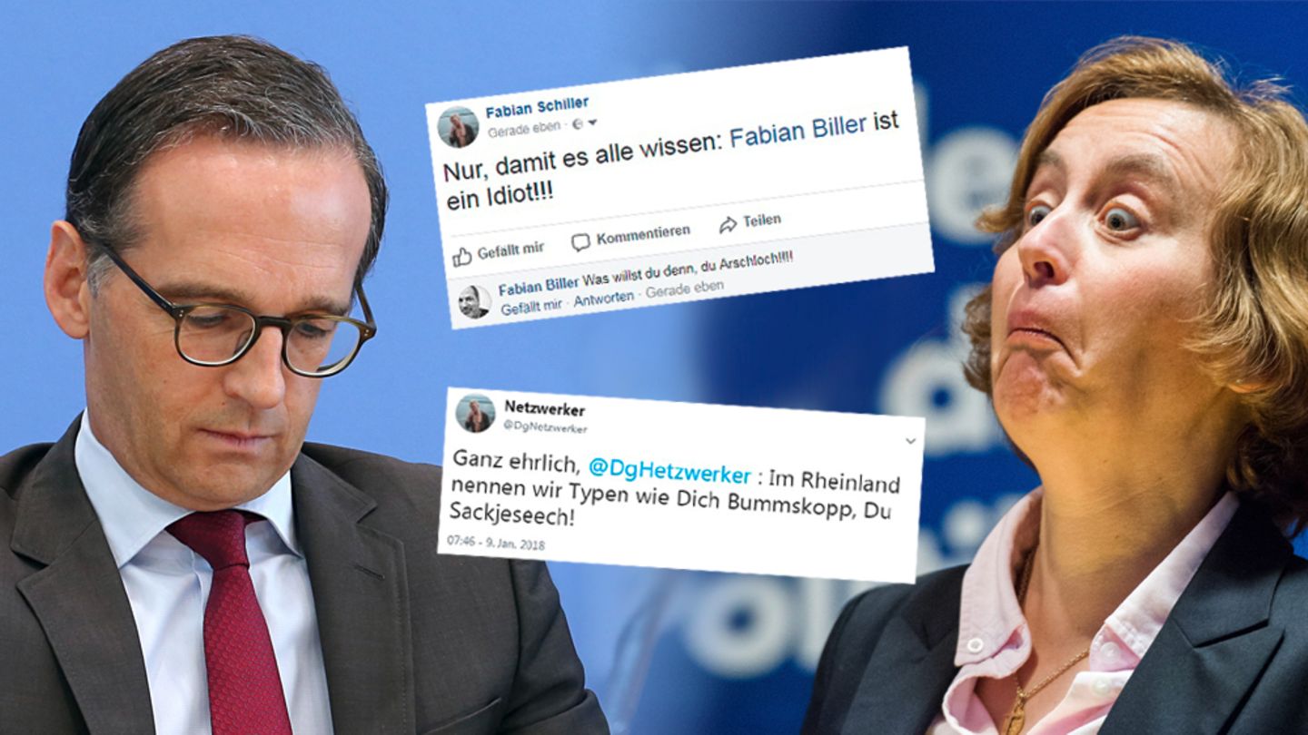 Heiko Maas, Alice Weidel, Twitter- und Facebook-Screenshots zum NetDG