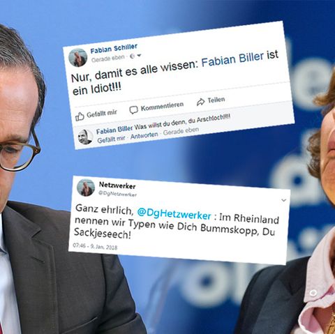 Heiko Maas, Alice Weidel, Twitter- und Facebook-Screenshots zum NetDG
