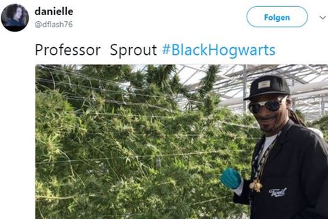 Trend auf Twitter: "Harry Potter" mit schwarzen Helden: Die besten Memes zu #BlackHogwarts