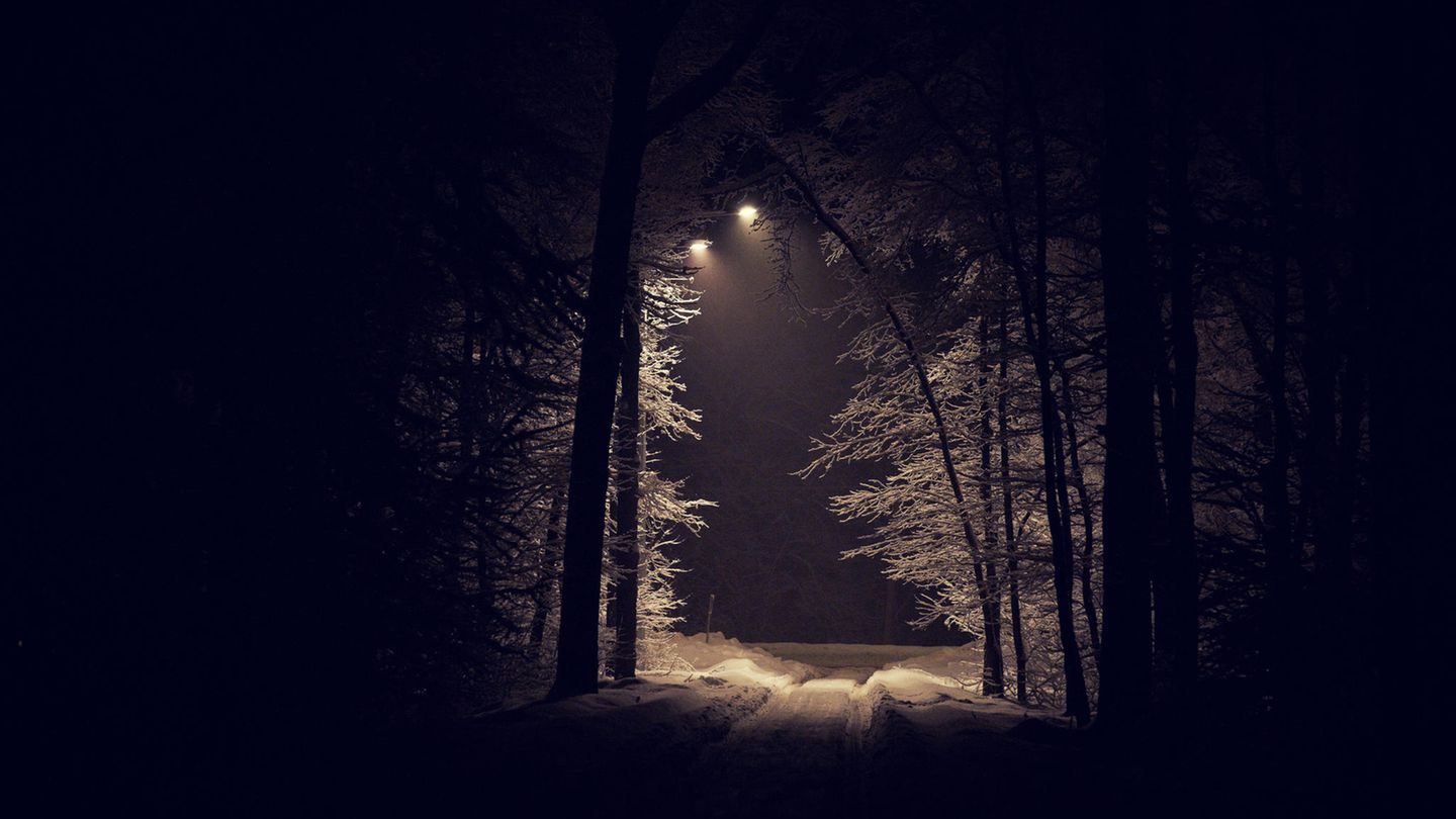 Ein Waldweg bei Nacht