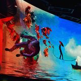 Cirque du Soleil at Sea