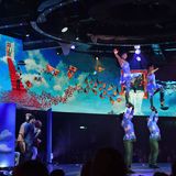 Cirque du Soleil at Sea