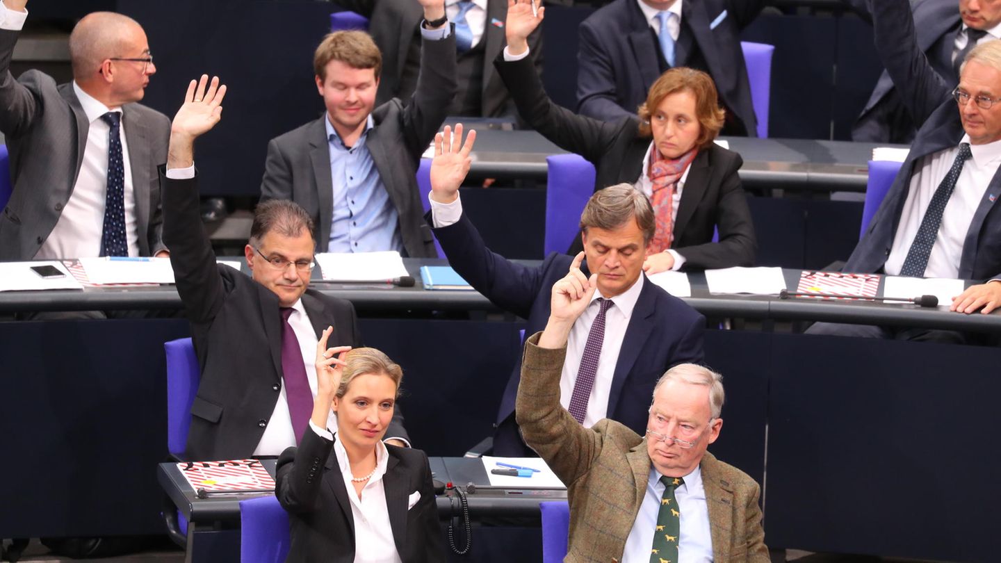 AfD Als Oppositionsführerin: Das Kommt Auf Den Bundestag Zu | STERN.de