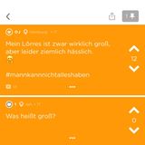 Ein Screenshot eines Jodels