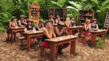 Die Kandidaten in der Dschungelschule