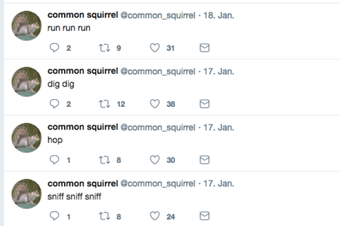 Der Twitter-Account des Bots @common_squirrel