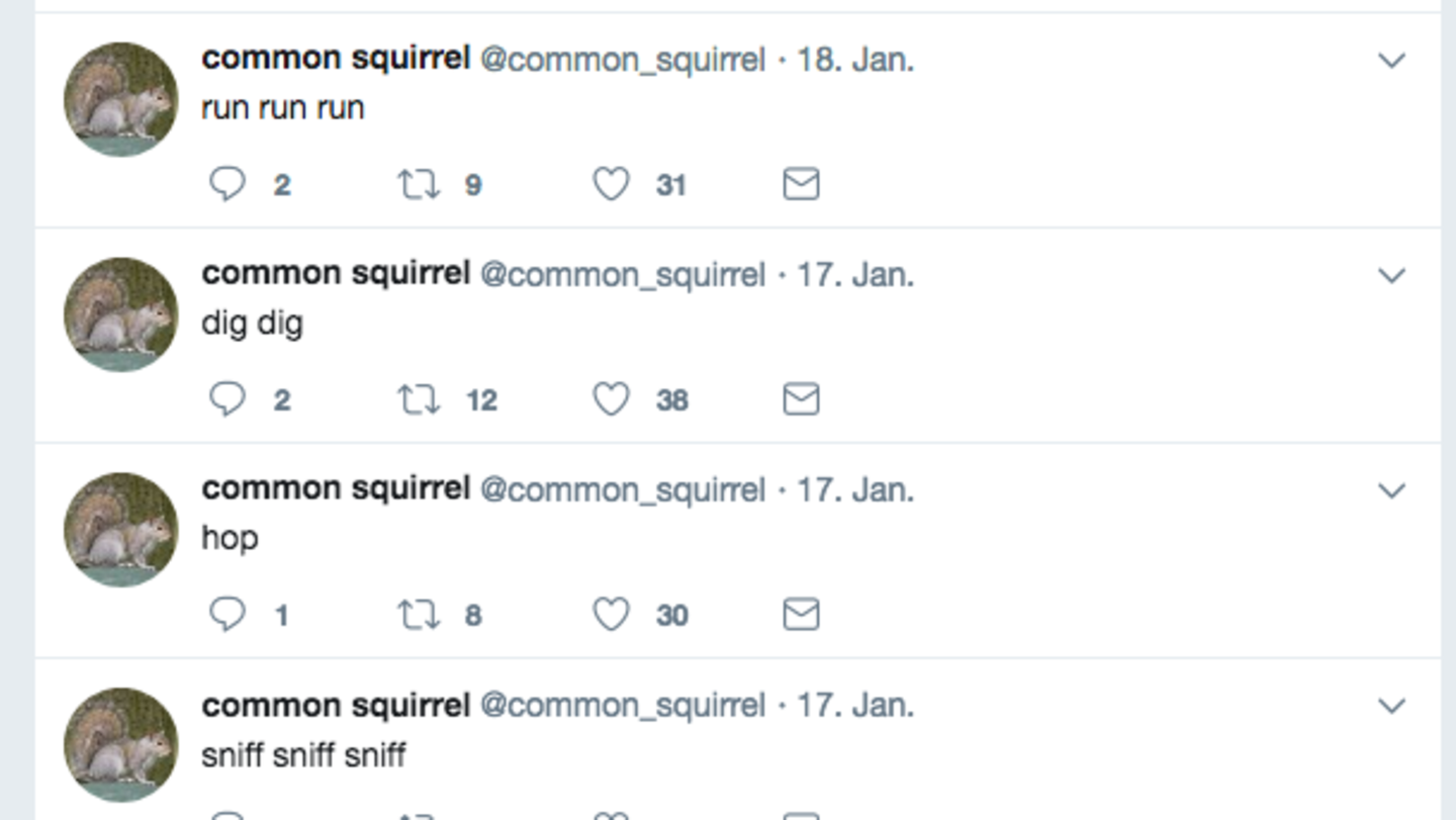 Der Twitter-Account des Bots @common_squirrel