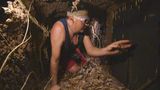 Matthias kriecht auf der Suche nach Sternen durch das Labyrinth. Es fallen Spinnen von der Decke. Sein Kommentar: "Ihr seid so Schweine...". Schließlich entdeckt er den Schlüssel für Jennys Schloss. Doch weil beide nicht vor Ablauf der Zeit aus dem Bau kommen, sind alle Sterne verloren.