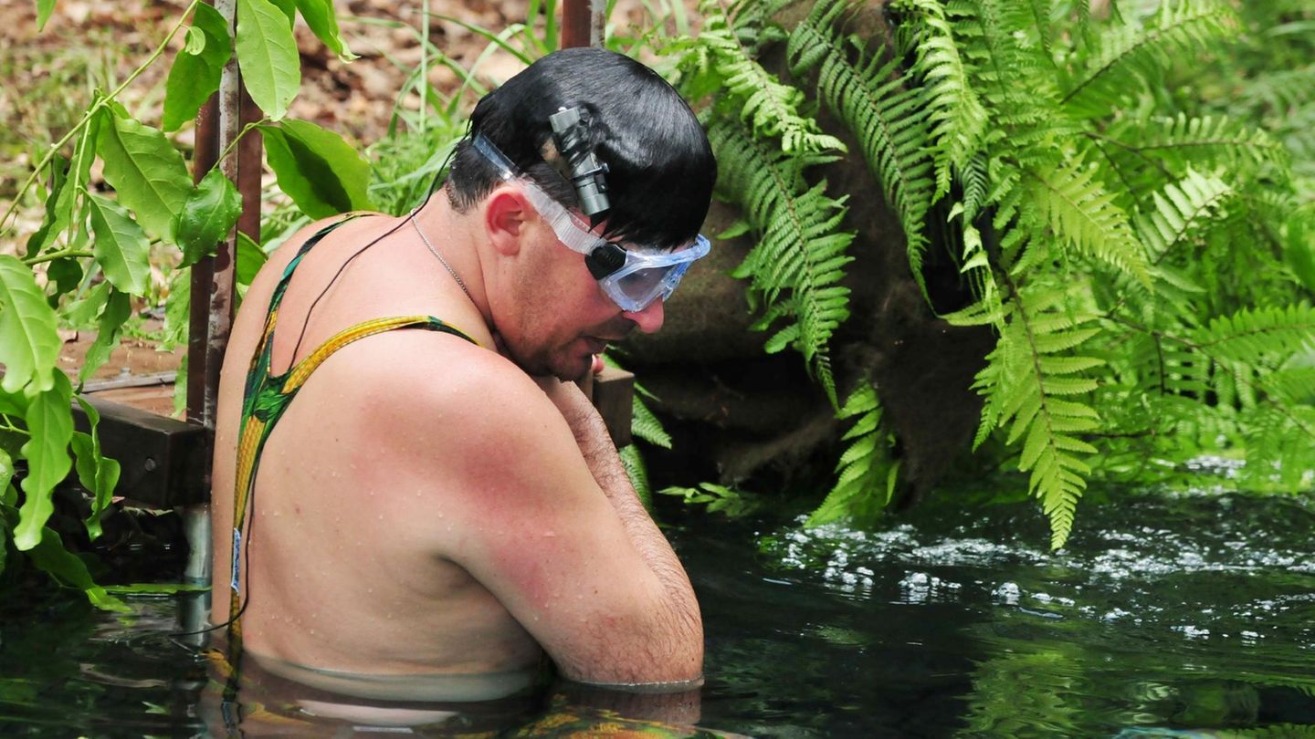 Dschungelcamp 2018: Die Aufgabe hat es in sich: Aus fünf Unterwasser-Kammern soll Mangiapane Sterne hochholen. Doch der 34-Jährige macht einen Rückzieher: "Ich kann das nicht. Ich habe jetzt schon Beklemmungen, wegen dem Platz. Tut mir leid! Die Tiere sind mir scheißegal. Das Problem ist das Eingesperrte unter Wasser sein!" Die Aufgabe hat es in sich: Aus fünf Unterwasser-Kammern soll Mangiapane Sterne hochholen. Doch der 34-Jährige macht einen Rückzieher: "Ich kann das nicht. Ich habe jetzt schon Beklemmungen, wegen dem Platz. Tut mir leid! Die Tiere sind mir scheißegal. Das Problem ist das Eingesperrte unter Wasser sein!"