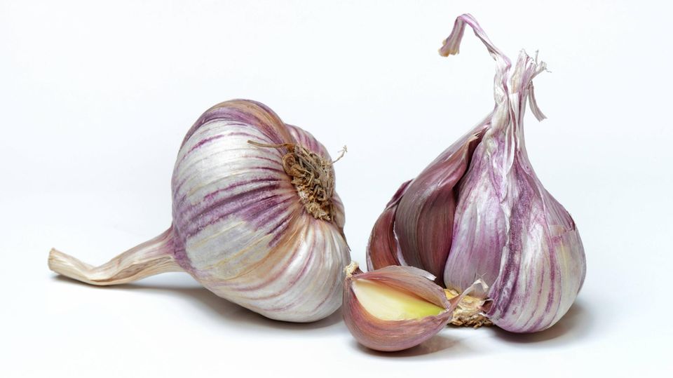 Angeberfakten rund um die Knolle : Mundgeruch: Das sind die besten Mittel gegen eine Knoblauch-Fahne