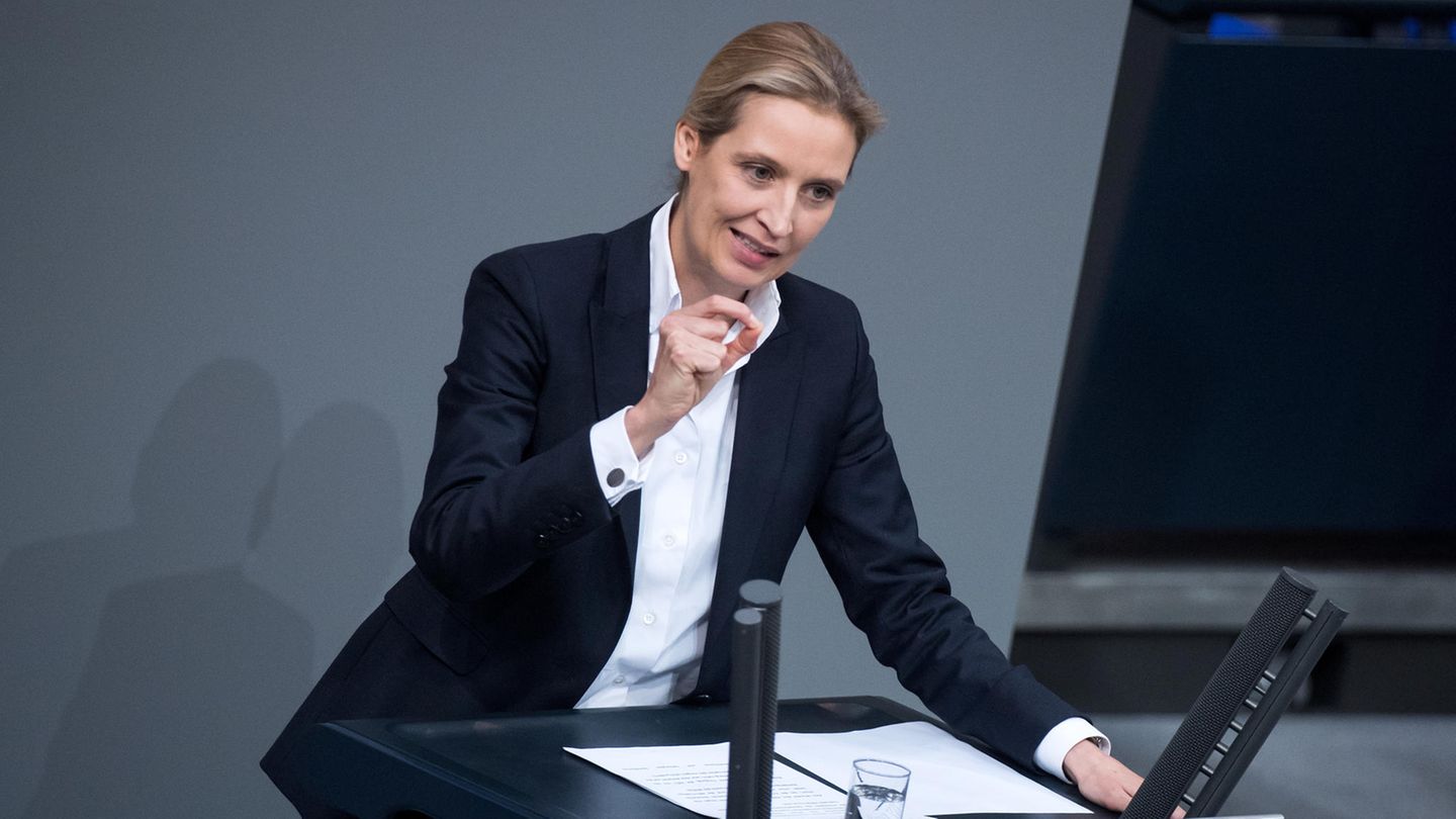 Alice Weidel, Vorsitzende der AfD-Bundestagsfraktion, spricht bei der Plenarsitzung des Deutschen Bundestages anlässlich des 55. Jahrestages des Élysée-Vertrages in Berlin