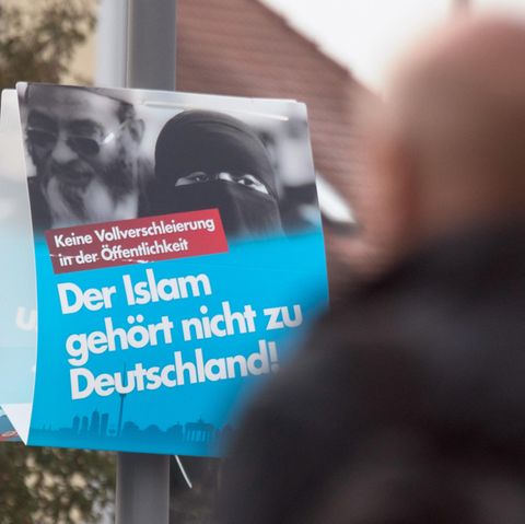 AfD Islam