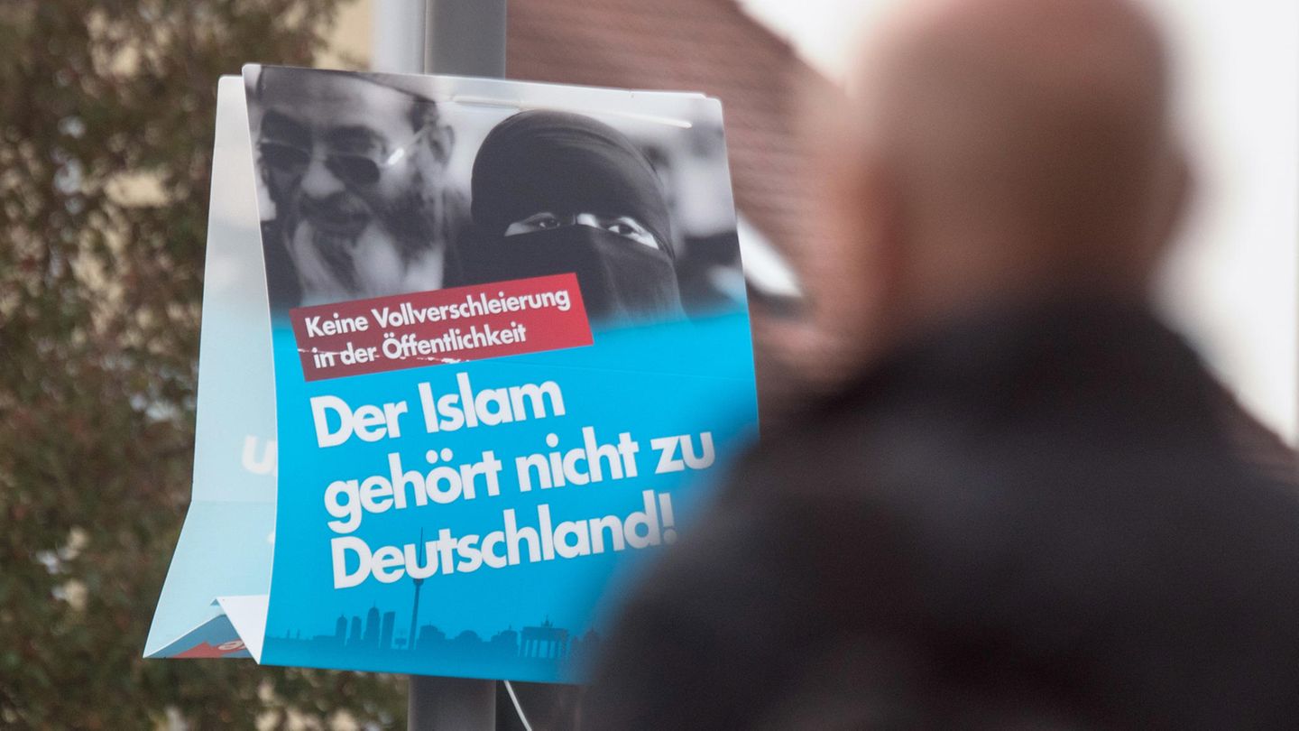 AfD Islam