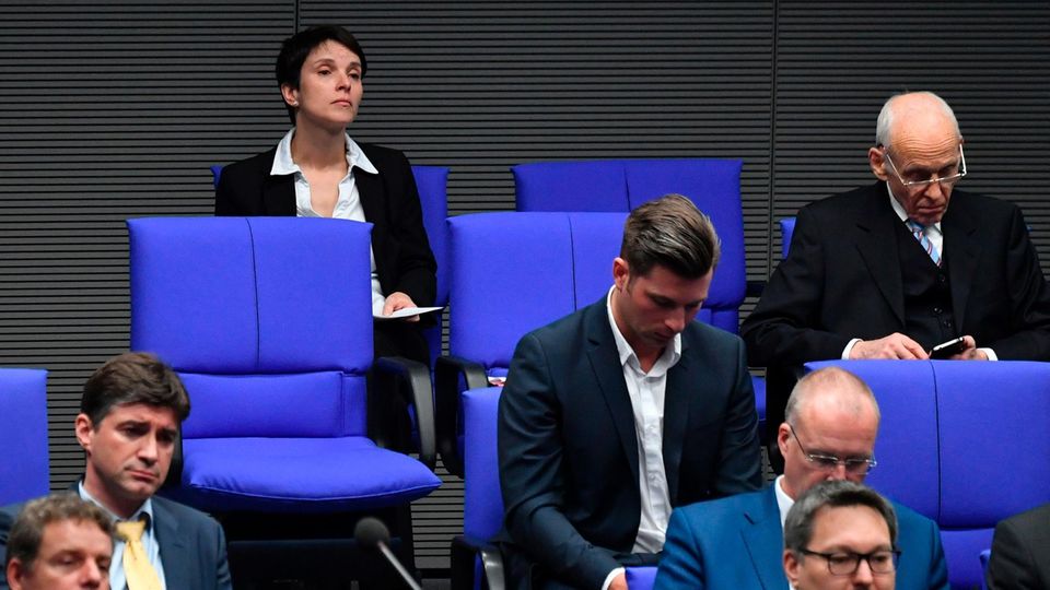 Frauke Petry: Politik aus der letzten Reihe Frauke Petry: Politik aus der letzten Reihe