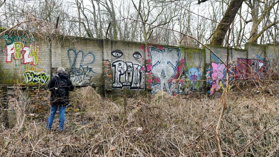Sensationeller Fund: Heimatforscher hat anscheinend Abschnitt der Berliner Ur-Mauer entdeckt