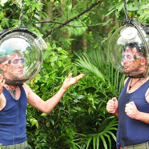 Daniele Negroni und Matthias Mangiapane im RTL-Dschungelcamp