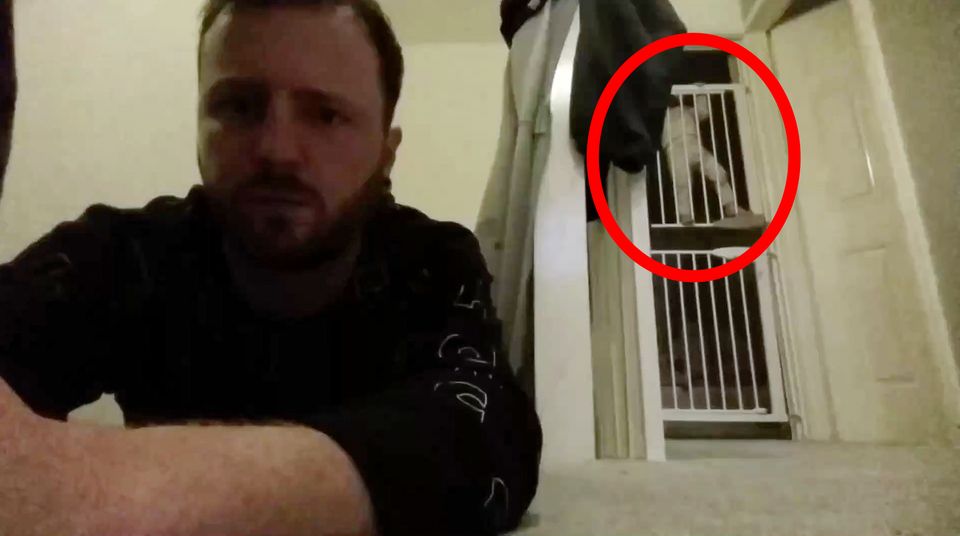 "Mini-Houdini": Vater kann es nicht glauben: Kind klettert über 2 Meter hohes Gitter
