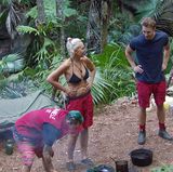 Dschungelcamp, Tag 9