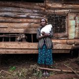 Florence Wanja: ""Zehn Jahre haben wir zusammen gelebt. Dann fing er an zu trinken. Nur wegen der Geldsorgen, behauptet er. Das glaube ich ihm aber nicht."  ROLAND BROCKMANN - REAL PEOPLE OF EAST AFRICA Text und Fotografie von Roland Brockmann.  18,00 Euro