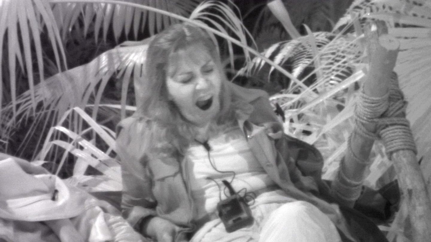 Tina York