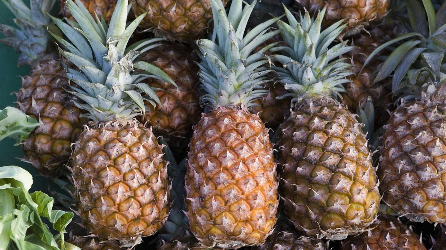 USA – Ananas-Attentat: Deswegen stehen drei Mädchen vor Gericht Drei Ananas liegen nebeneinander – wegen dieser Frucht stehen in den USA drei Mädchen vor Gericht