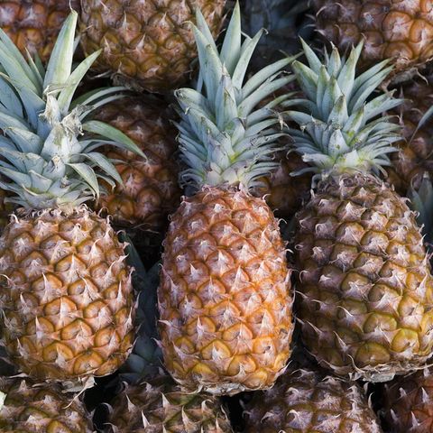 Drei Ananas liegen nebeneinander – wegen dieser Frucht stehen in den USA drei Mädchen vor Gericht