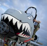 Die Hauptwaffe ist eine Gatling-Maschinenkanone vom Kaliber 30 Millimeter.