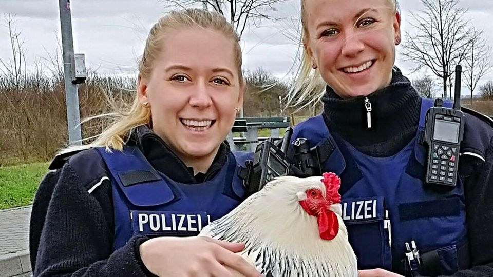 nachrichten deutschland nachrichten deutschland
