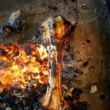 Der Knochen einer Kuh röstet an Holzkohlenglut