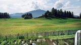 Schwedische Sommer sind kurz, doch ihre Tage sind lang – Zeit, all das wachsen zu lassen, was im Mittsommer frisch und im Mittwinter konserviert auf den Tisch kommt