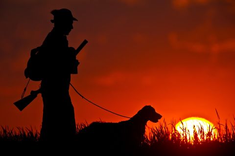 Russland - Jäger - Jagdhund - Schuss