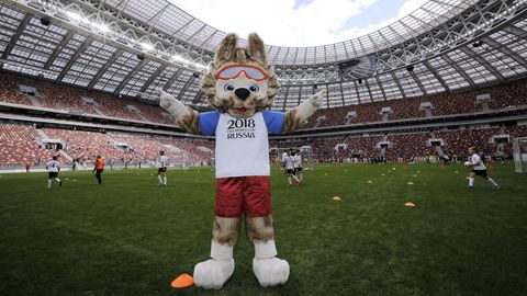 Maskottchen der Fußball-WM in Russland