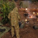 Ein Ranger fängt die giftige Trichternetzspinne ein