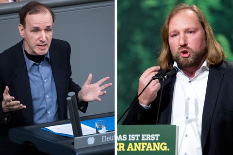 AfD Grüne