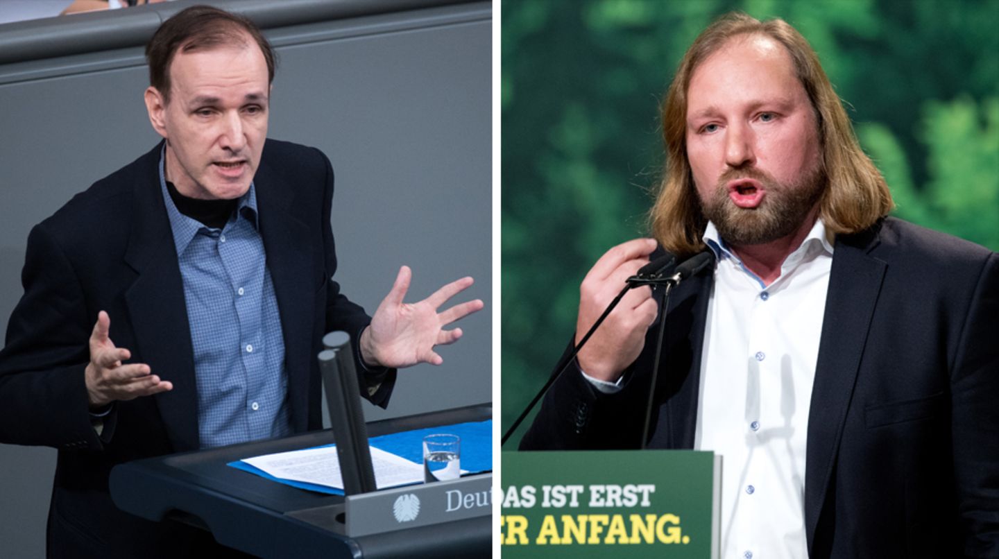 AfD Grüne