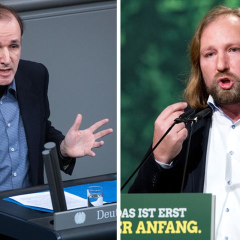 AfD Grüne