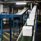 Rund 300.000 Tonnen Papier entstehen hier pro Jahr, komplett hergestellt aus Altpapier.