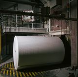 Die Papierspulen werden entweder direkt an Druckereien weitergeleitet ...