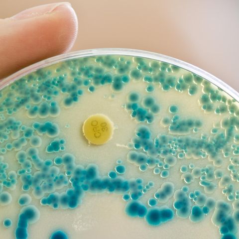 Antibiotika-resistente Keime in ungeahntem Ausmaß nachgewiesen