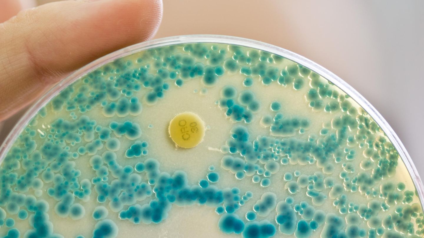 Antibiotika-resistente Keime in ungeahntem Ausmaß nachgewiesen