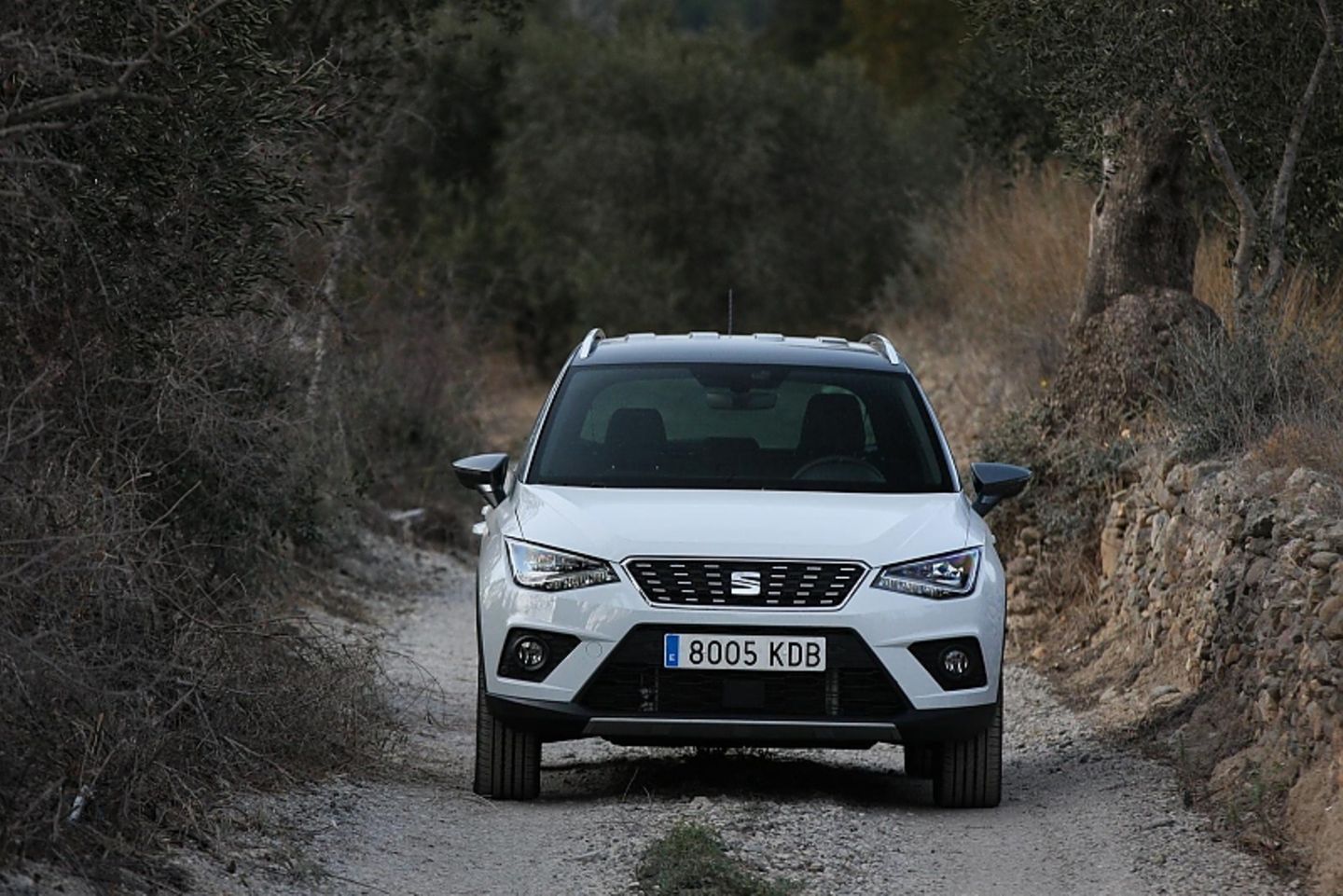 Von vore wirkt der Seat Arona TDI fast schon bullig