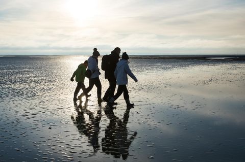 Armutsrisiko für Familien in Deutschland: Eine vierköpfige Familie beim Strandspaziergang (Symbolbild)