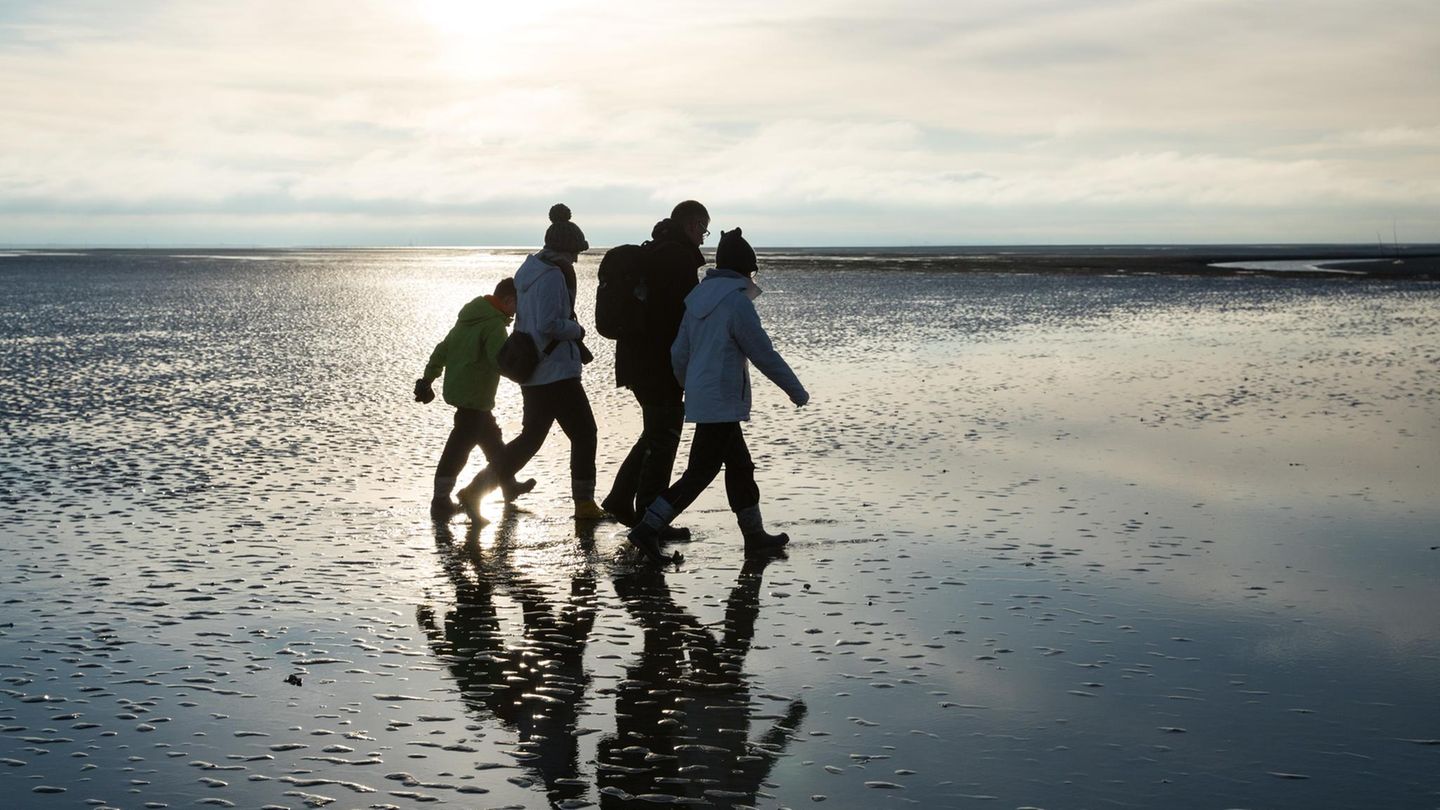 Armutsrisiko für Familien in Deutschland: Eine vierköpfige Familie beim Strandspaziergang (Symbolbild)