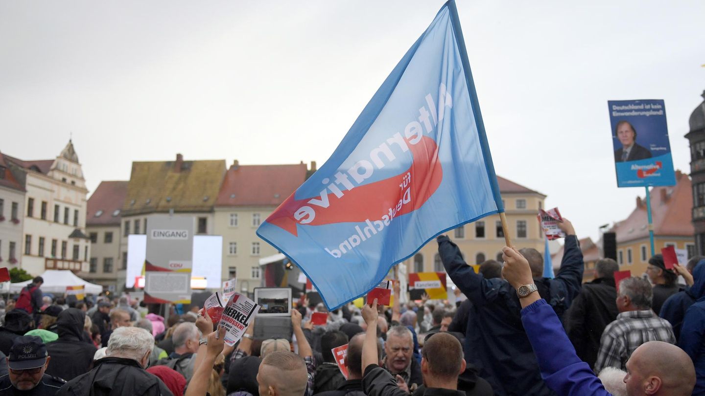 Menschen auf einer Demonstration mit AfD-Fahnen