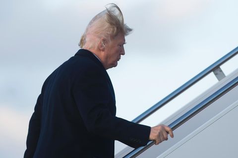 Spott im Netz: Trumps Haare wehen verdächtig kahl - und das Netz dreht durch