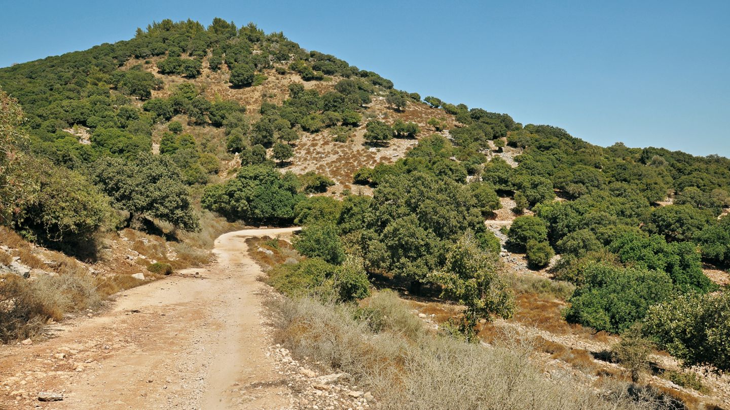 Wandern in Israel: Mount Karmel (Deir el Muhraqa): Runde über den Berg des Propheten Elia Das Karmelgebirge ist eines der bekanntesten Mittelgebirge Israels. Es steigt unvermittelt bei Haifa vom Meeresspiegel bis auf über 500 Meter und dehnt sich etwa 25 km in südöstlicher Richtung aus. Der hebräische Begriff Karmel kann mit "Weinberg Gottes" übersetzt werden, denn das relativ regenreiche und fruchtbare Gebiet ist von jeher bekannt für seine guten Weine. Höhepunkt der Wanderung ist der Berg Deir el Muhraqa (Mukharaka) mit dem weithin sichtbaren Karmeliter-Kloster auf dem Gipfel, der vereinfachend Mount Karmel genannt wird. Dauer: 3:15 Stunden Mount Karmel (Deir el Muhraqa): Runde über den Berg des Propheten Elia Das Karmelgebirge ist eines der bekanntesten Mittelgebirge Israels. Es steigt unvermittelt bei Haifa vom Meeresspiegel bis auf über 500 Meter und dehnt sich etwa 25 km in südöstlicher Richtung aus. Der hebräische Begriff Karmel kann mit "Weinberg Gottes" übersetzt werden, denn das relativ regenreiche und fruchtbare Gebiet ist von jeher bekannt für seine guten Weine. Höhepunkt der Wanderung ist der Berg Deir el Muhraqa (Mukharaka) mit dem weithin sichtbaren Karmeliter-Kloster auf dem Gipfel, der vereinfachend Mount Karmel genannt wird. Dauer: 3:15 Stunden