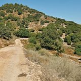 Mount Karmel (Deir el Muhraqa): Runde über den Berg des Propheten Elia  Das Karmelgebirge ist eines der bekanntesten Mittelgebirge Israels. Es steigt unvermittelt bei Haifa vom Meeresspiegel bis auf über 500 Meter und dehnt sich etwa 25 km in südöstlicher Richtung aus. Der hebräische Begriff Karmel kann mit "Weinberg Gottes" übersetzt werden, denn das relativ regenreiche und fruchtbare Gebiet ist von jeher bekannt für seine guten Weine. Höhepunkt der Wanderung ist der Berg Deir el Muhraqa (Mukharaka) mit dem weithin sichtbaren Karmeliter-Kloster auf dem Gipfel, der vereinfachend Mount Karmel genannt wird.  Dauer: 3:15 Stunden