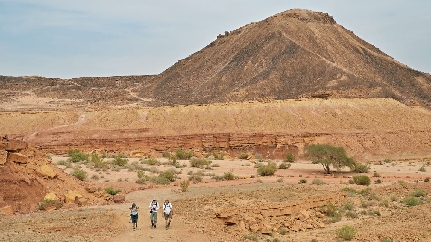 Wadi Nekarot und Harut Hill: Traumtour im großen Krater  Im südöstlichen Bereich des gewaltigen Ramon-Kraters (Makhtesh Ramon) erhebt sich das Massiv des Mt. Saharonim, an dessen Fuß das Wadi Nekarot einen landschaftlichen Höhepunkt im Kraterinneren darstellt. Die Wanderung führt über die Ostschulter des Mt. Saharonim und durch den schönsten Teil des Wadi Nekarot. Kurz vor dem Ziel rundet die Besteigung des Harut Hill (Foto) unsere Tour aussichtsreich ab.  Dauer: 5 Stunden
