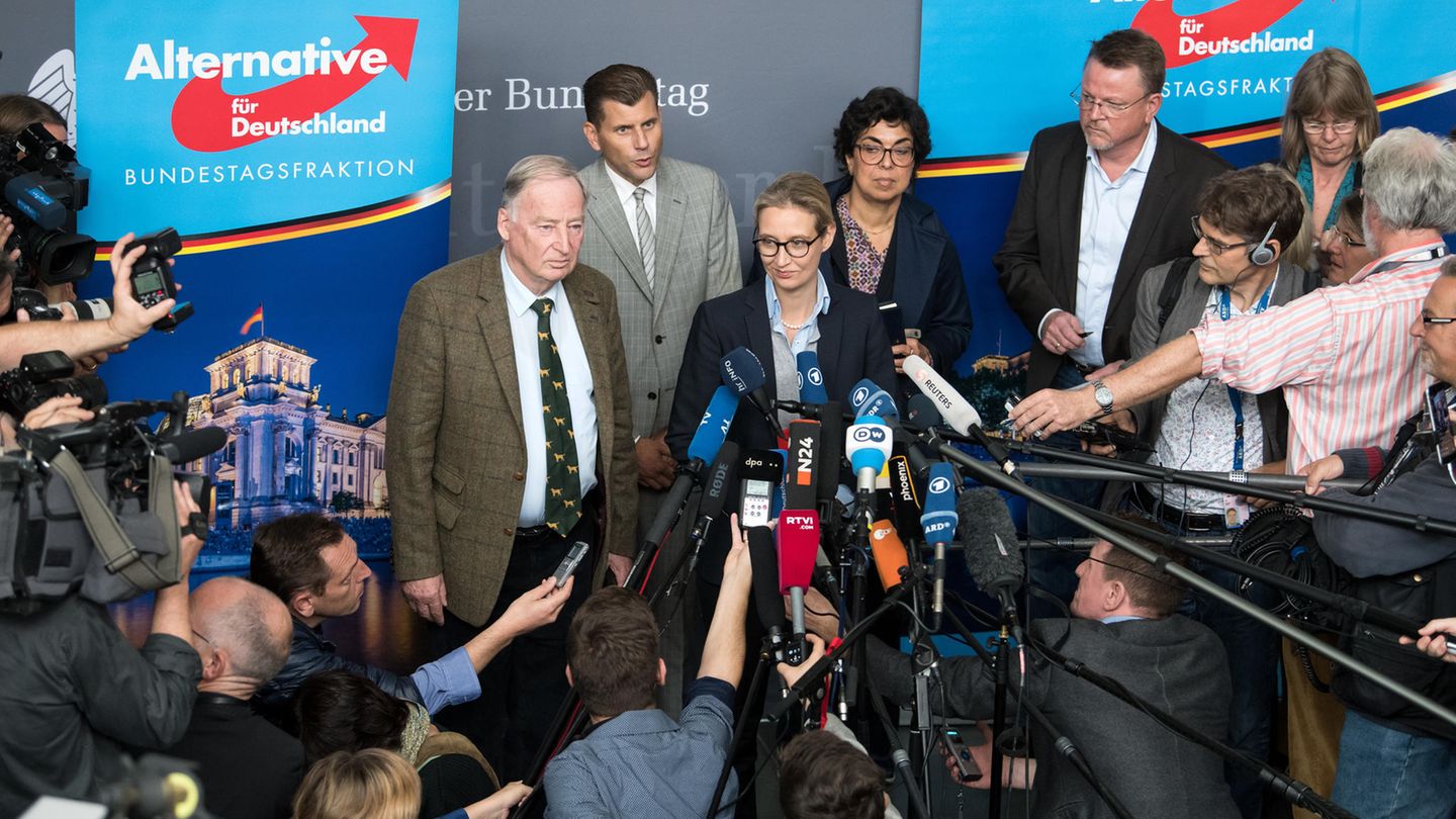 Von Medien "ignoriert" und mit "Fake News" geschmäht: AfD soll "Newsroom" aufbauen