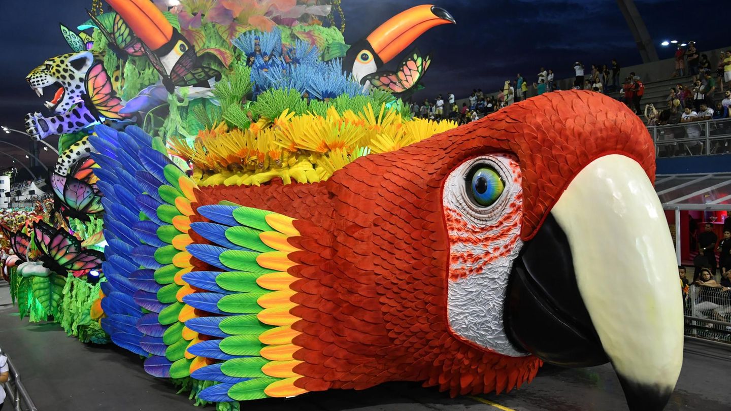 Kommt ein Vogel angerollt: Mit zum ersten Durchgang in São Paulo gehört der bunt gefiederte Wagen der Sambaschule der Tom Maior.